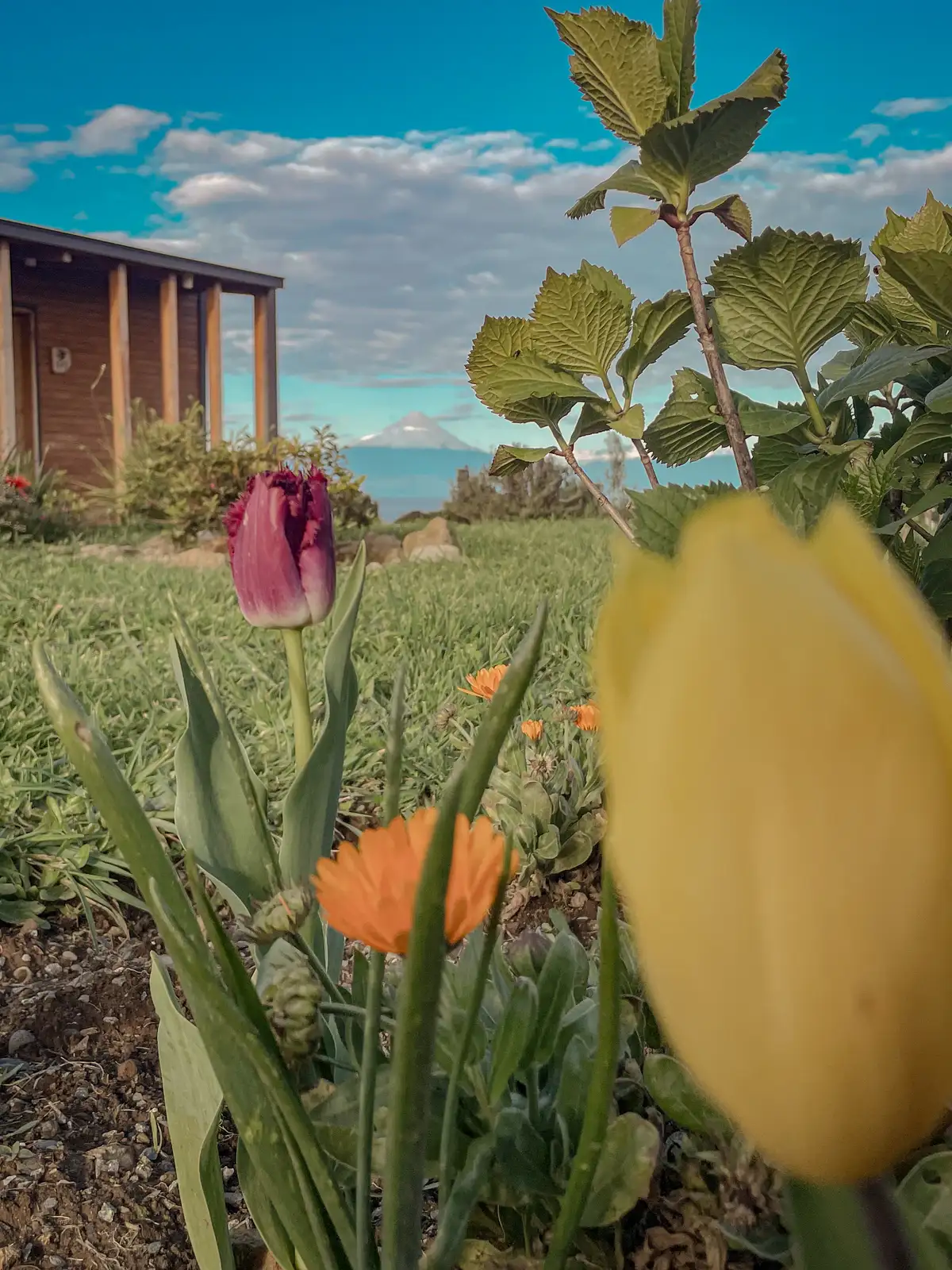 Loft Boutique, Ave Lodge Frutillar, vista exterior
